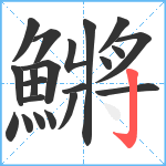 鱂笔顺分解图片21