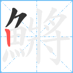 鱂笔顺分解图片3