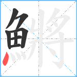 鱂笔顺分解图片8