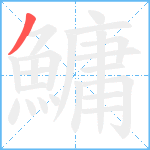 鱅笔顺分解图片1