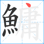 鱅笔顺分解图片12