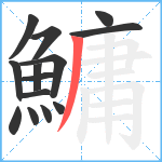 鱅笔顺分解图片14