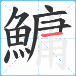 鱅笔顺分解图片17