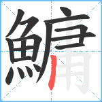 鱅笔顺分解图片18