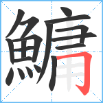 鱅笔顺分解图片19