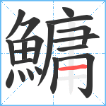 鱅笔顺分解图片20