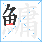 鱅笔顺分解图片7