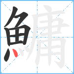 鱅笔顺分解图片9