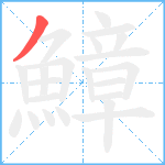 鱆笔顺分解图片1