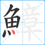 鱆笔顺分解图片10