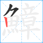 鱆笔顺分解图片3