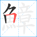 鱆笔顺分解图片4