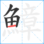 鱆笔顺分解图片7