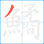 鱊笔顺分解图片1