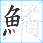 鱊笔顺分解图片10