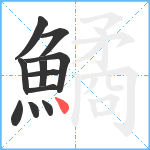 鱊笔顺分解图片11