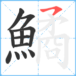 鱊笔顺分解图片12