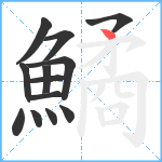 鱊笔顺分解图片13