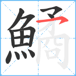 鱊笔顺分解图片14