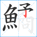 鱊笔顺分解图片15