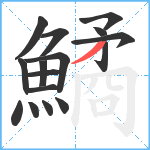 鱊笔顺分解图片16