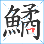 鱊笔顺分解图片22