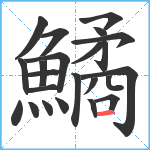 鱊笔顺分解图片23