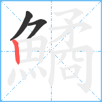 鱊笔顺分解图片3