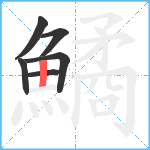 鱊笔顺分解图片6