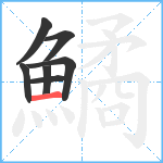 鱊笔顺分解图片7