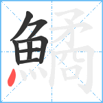 鱊笔顺分解图片8