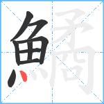 鱊笔顺分解图片9
