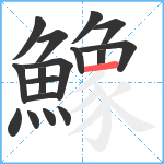 鱌笔顺分解图片17