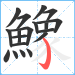 鱌笔顺分解图片19