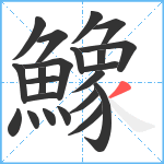 鱌笔顺分解图片22