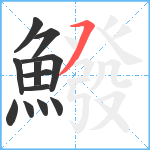 鱍笔顺分解图片12