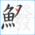 鱍笔顺分解图片13