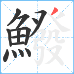 鱍笔顺分解图片14