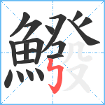 鱍笔顺分解图片19