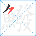 鱍笔顺分解图片2