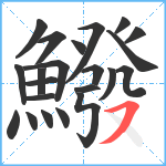 鱍笔顺分解图片22