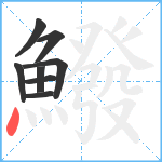 鱍笔顺分解图片8