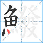 鱍笔顺分解图片9