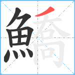 鱎笔顺分解图片12