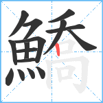 鱎笔顺分解图片16