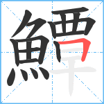 鱏笔顺分解图片19