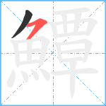 鱏笔顺分解图片2