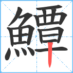 鱏笔顺分解图片23