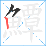 鱏笔顺分解图片3