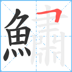 鱐笔顺分解图片12